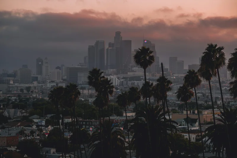 Palm trees frame the downtown Los Angeles skyline at sunset
